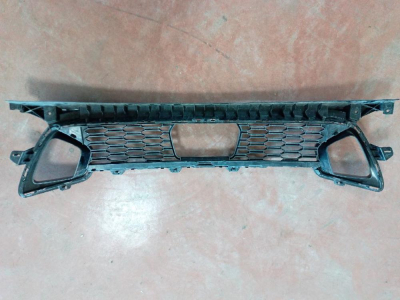 1298410001 BMW 2 SERİSİ F44 TAMPON IZGARASI 4İ6