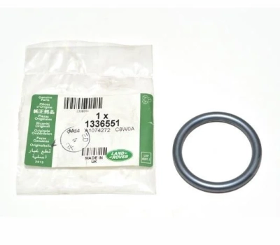 TERMOSTAT O-RING