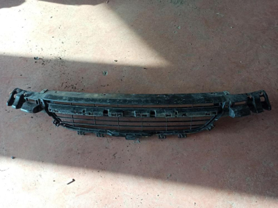 51117371737 BMW 1 SERİSİ IZGARA