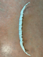 51117374101 / 7374101 BMW X1 E84 ÖN TAMPON ALT SPOYLERİ | MOTOLAND