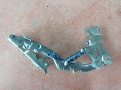 7450590 BMW 4 SERİSİ G26 KAPUT MENTEŞESİ | MOTOLAND