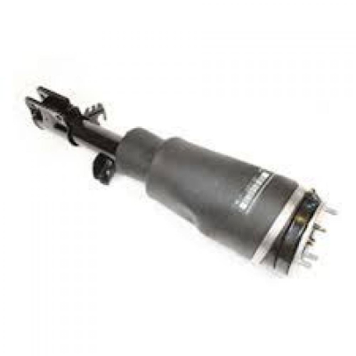 AMORTİSÖR VE KÖRÜK ÖN SAĞ 3.0-4.4 N.R.R.2 - DUNLOP - RNB000740