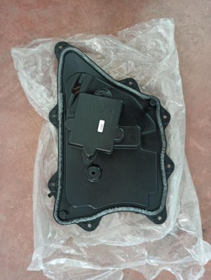 T2H46419 JAGUAR F-PACE KAPI KORUMASI 4D8